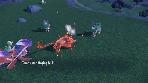 raging bull pokemon|raging bull smogon.